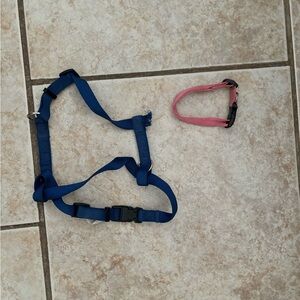 Bundle Of 2 Dog Collars